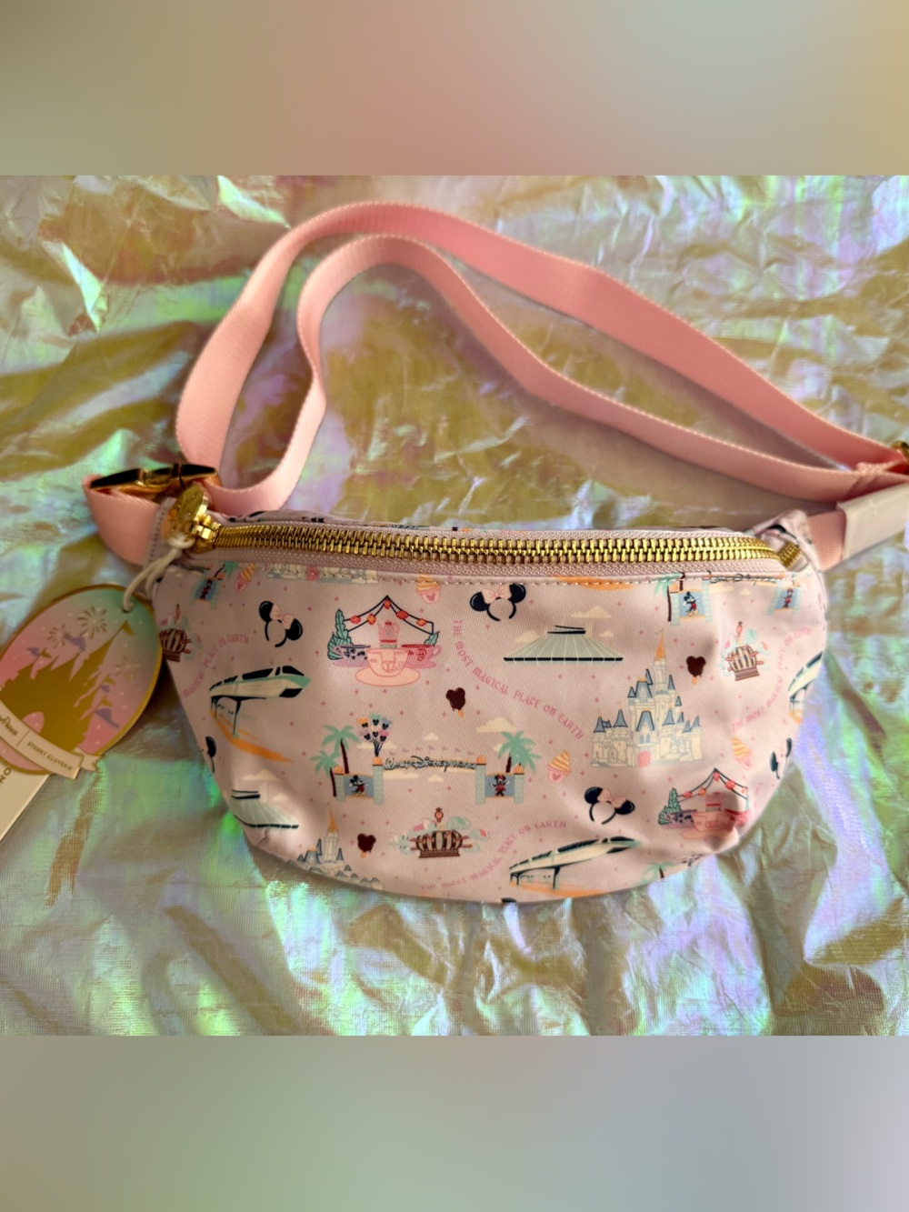 SCL x Disney Parks Walt Disney World Classic Fanny Pack